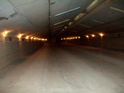 Image Sale hangar cherrueix  4