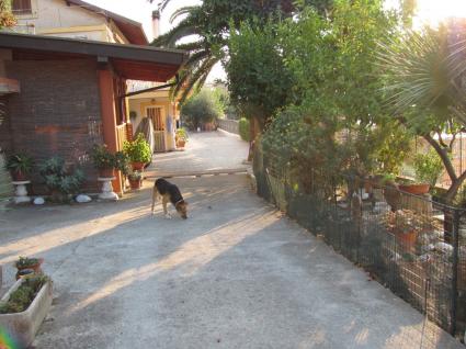 Image Sale house vallecrosia imperia 0