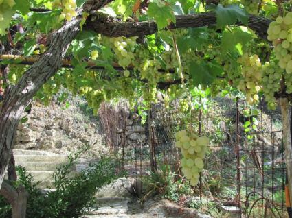 Image Sale house vallecrosia imperia 5