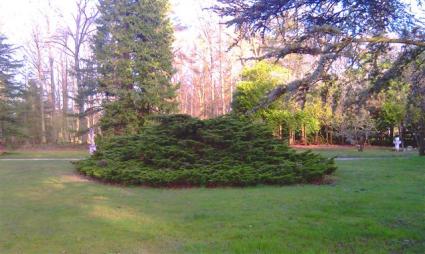 Image Sale prestigious real estate rambouillet versailles 8