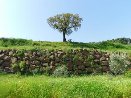 Image Sale chalet ghilarza oristano 0