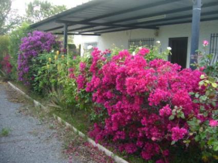 Image Sale chalet elche  6