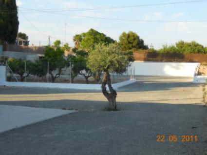 Image Sale chalet elche  7