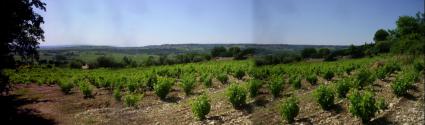 Image Sale land seguret 84110 avignon 1
