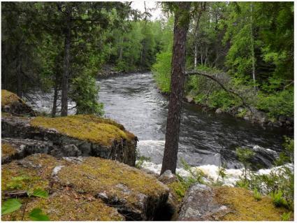 Image Sale house st-michel-des-saints  6