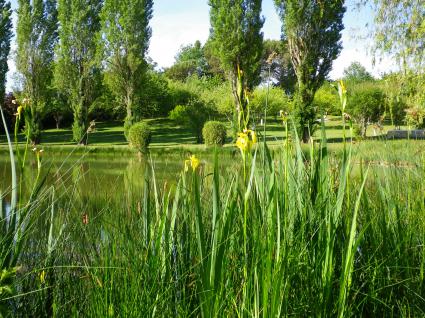 Image Sale house bergerac bourdeaux 1