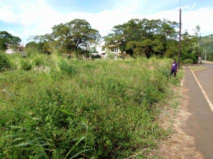 Image Sale land cascavelle  0