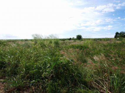 Image Sale land cascavelle  2