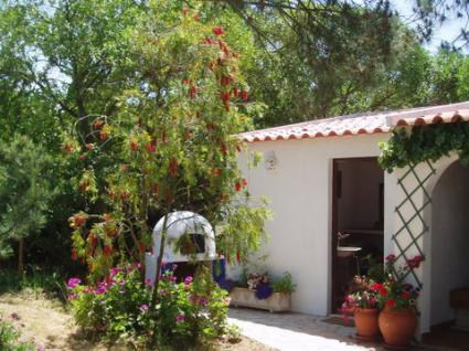 Image Sale gite m12097 ericeira 1