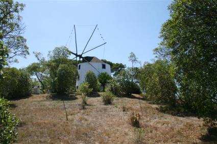 Image Sale gite m12097 ericeira 2