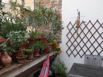 Image Sale apartment firenze firenze 1