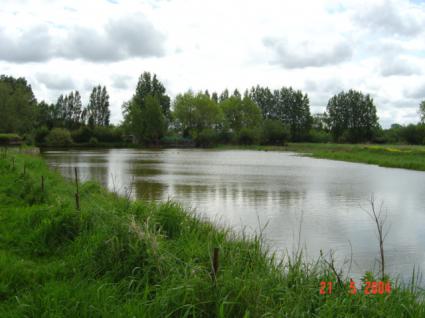 Image Sale house guines 62340  1