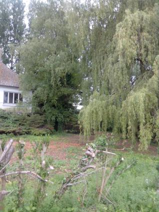 Image Sale house guines 62340  2