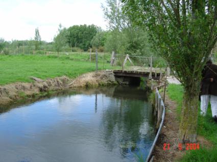 Image Sale house guines 62340  4