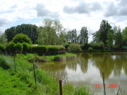 Image Sale house guines 62340  5