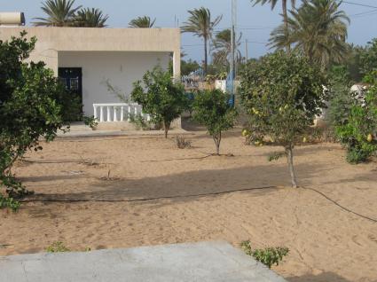 Image Rent villa djerba midoun tezdaîne medenine 4