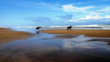 Image Sale apartment malindi  7