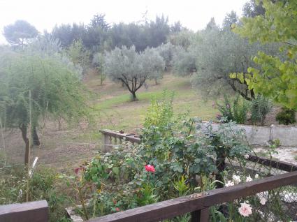 Image Sale villa velletri roma provincia-castelli romani 2