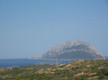 Image Sale villa loiri porto san paolo sassari 0