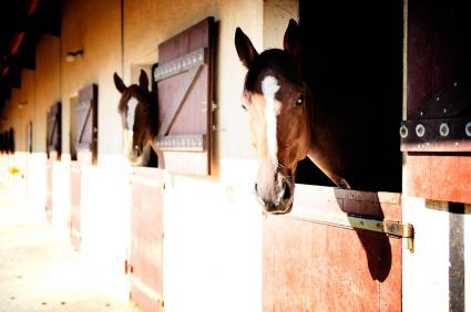 Image Sale prestigious real estate bletterans lons le saunier 3