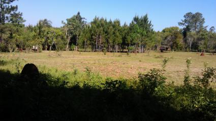 Image Sale house san ignacio >misiones  2