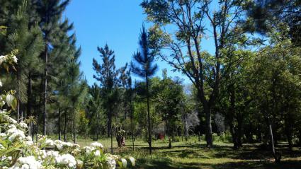 Image Sale house san ignacio >misiones  4