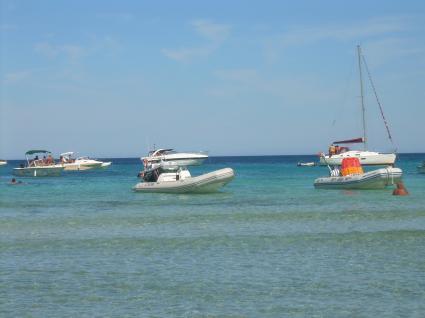 Image Rent house porto vecchio  3