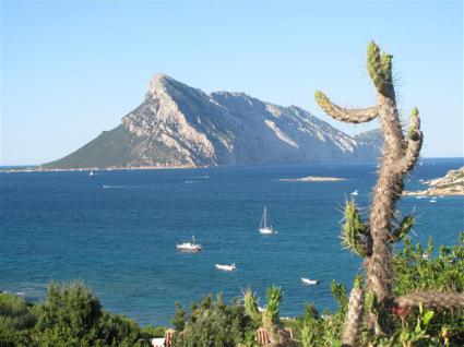 Image Sale villa aldia bianca  0