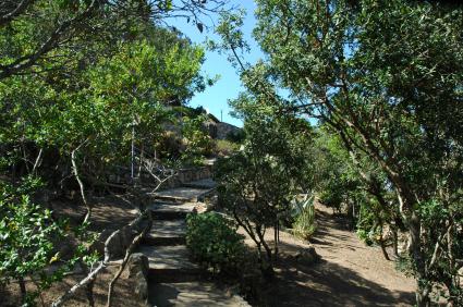 Image Sale villa aldia bianca  2