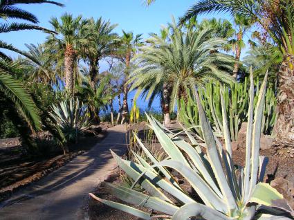 Image Sale apartment costa adeje tenerife 7