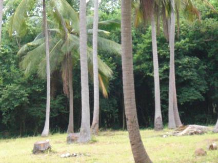 Image Sale house cheong mon koh samui  2