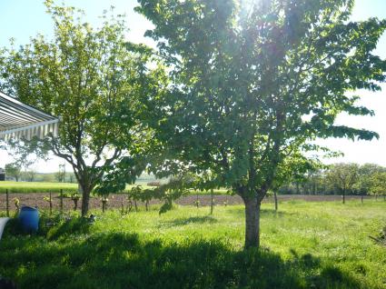 Image Sale house cahuzac sur vere albi 3