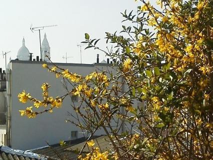 Image Sale apartment 75018 paris paris 0