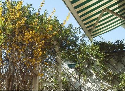 Image Sale apartment 75018 paris paris 1