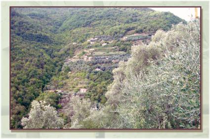 Image Sale house argallo imperia 5