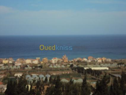 Image Sale villa bousmail  3