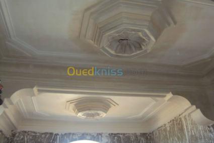 Image Sale villa bousmail  5