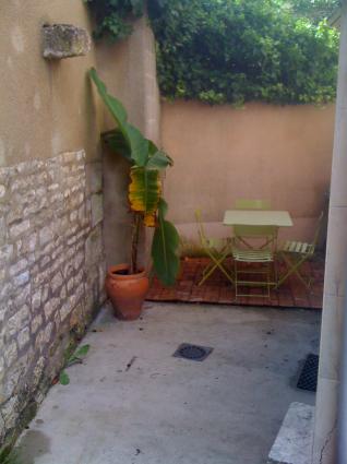 Image Sale house courson les carrieres auxerre 4