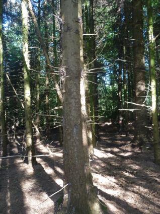 Image Rent land la motte st-brieuc 4