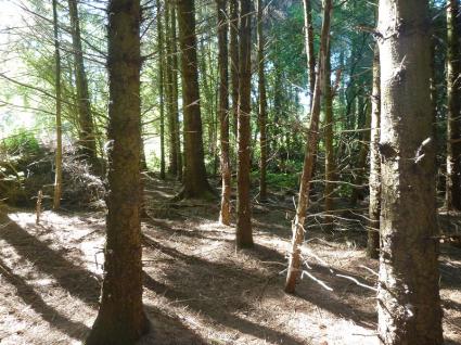 Image Rent land la motte st-brieuc 5