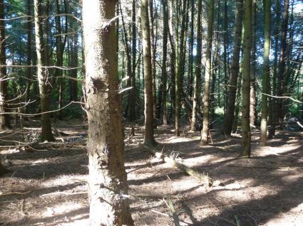 Image Rent land la motte st-brieuc 6