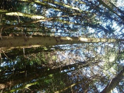 Image Rent land la motte st-brieuc 7