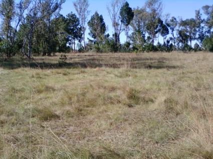 Image Sale land ivato aéroport antananarivo  0