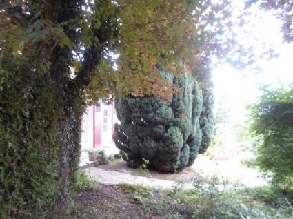 Image Rent house st aignan sur cher blois 6