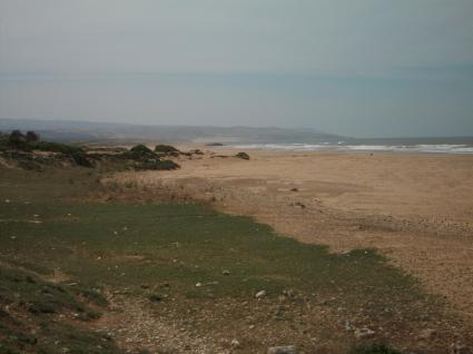 Image Rent land essaouira  0