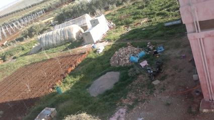 Image Sale farm boufakrane meknès 2