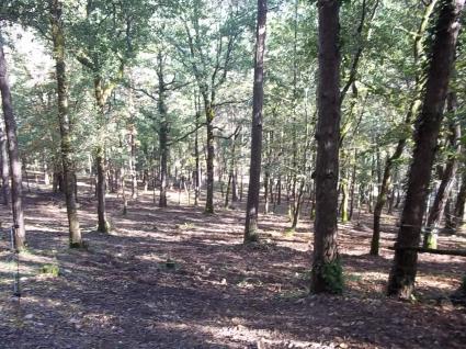 Image Sale chalet auriac du périgord périgueux 2