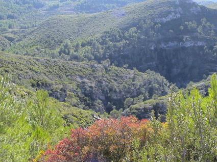 Image Sale farm pratdip tarragone 2