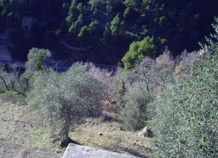 Image Sale house breil sur roya  2