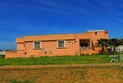 Image Sale house sidi abd el jadida 2